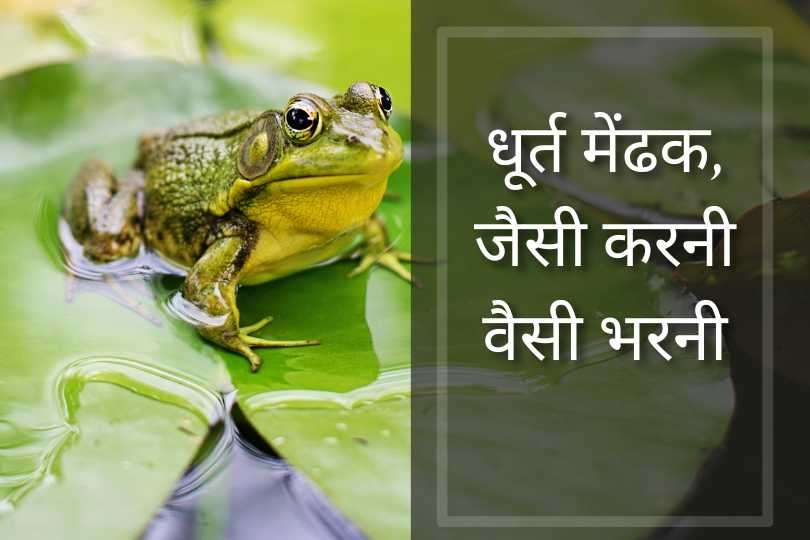 धूर्त मेंढक, जैसी करनी वैसी भरनी